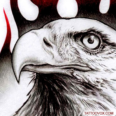 4,200+ Eagle Head Tattoo Stock Illustrations, Royalty-Free Vector Graphics  & Clip Art - iStock